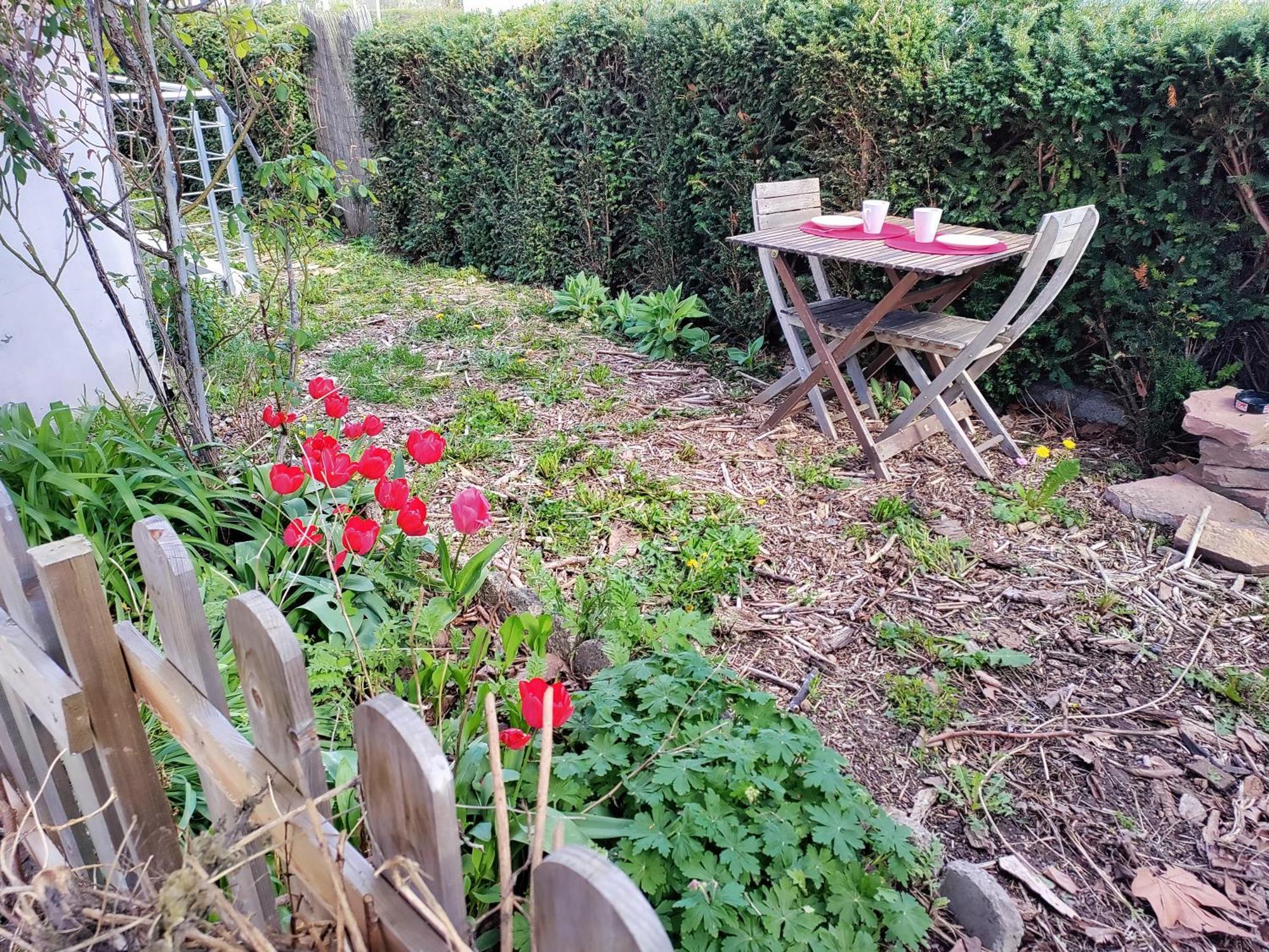 דירות קולמר Les Coquelicots, Calme, Jardin מראה חיצוני תמונה